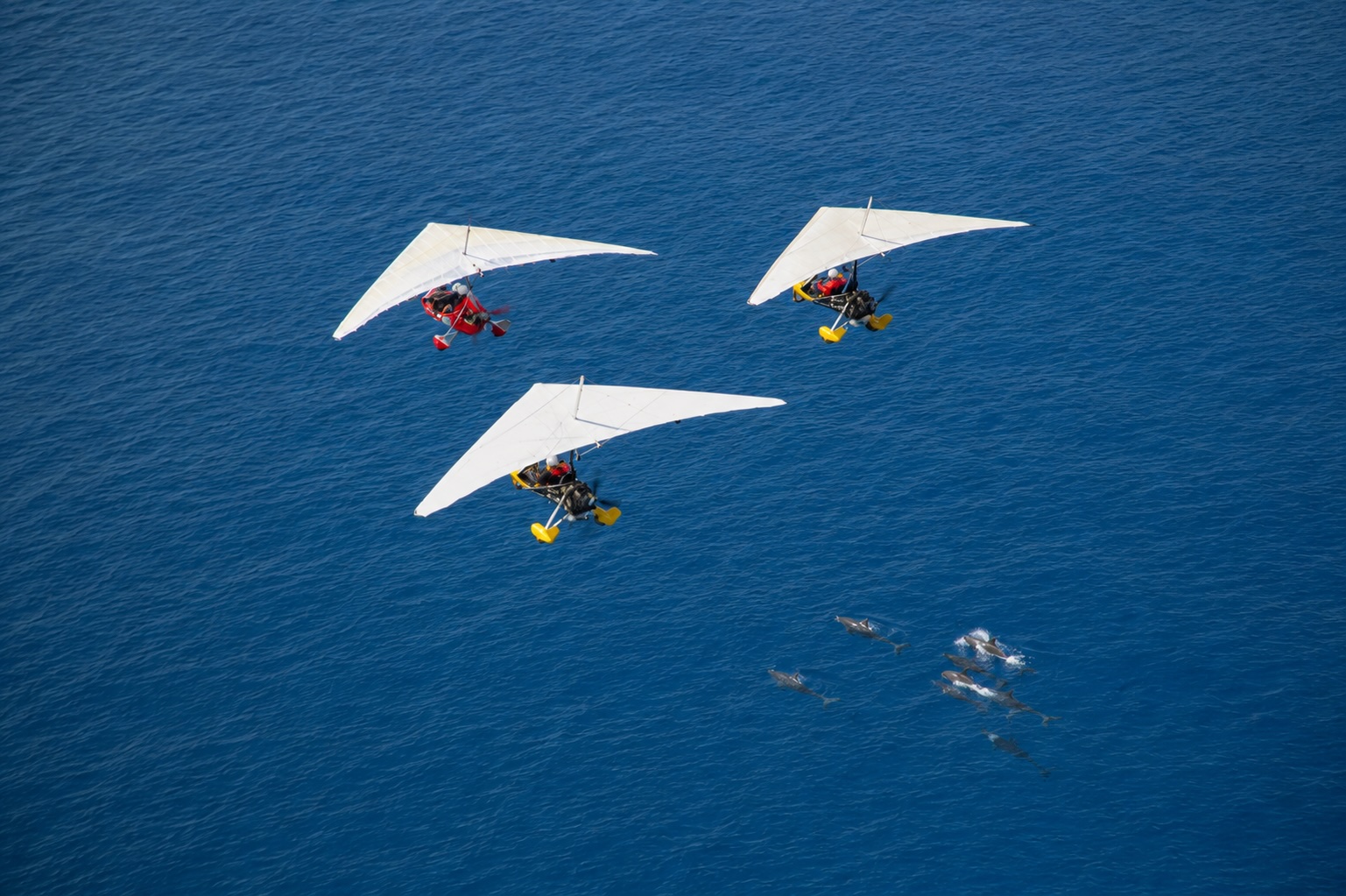 GoSky Hawaii powered hang gliding